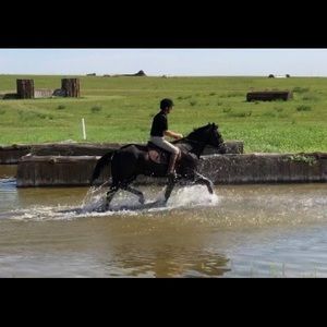 Perfect Husband/Mom/Kid-rides-me-backwards horse